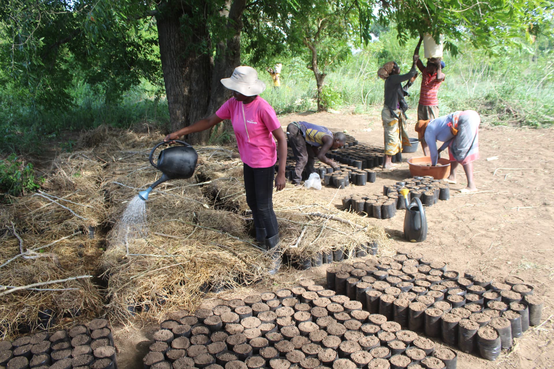 Attività di Helpcode sul territorio insieme alle comunità in Mozambico